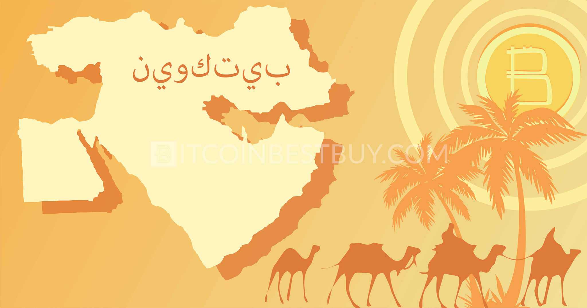 Guide To Buy Bitcoins In Saudi Arabia Choosing The Right Exchange - 