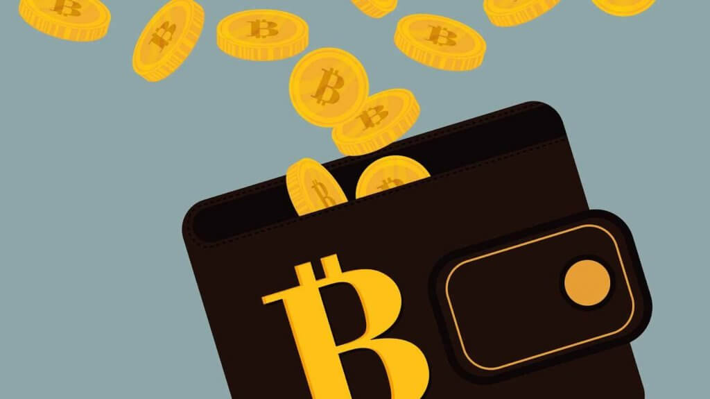 Store bitcoins in your wallet